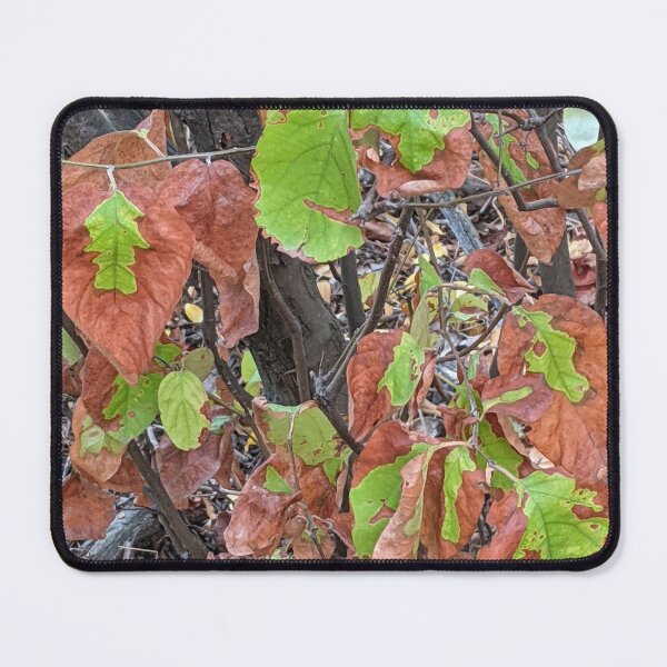 Item preview, Going in Style designed and sold by aeolia.