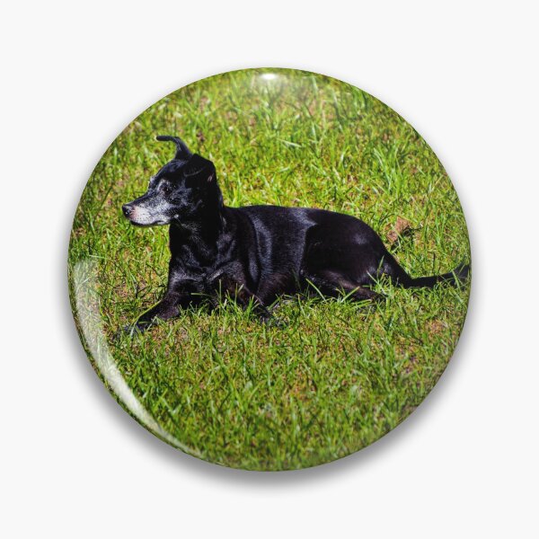 Item preview, Negrita Is A Loner designed and sold by alabca.