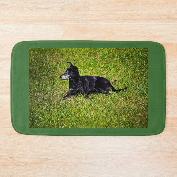 Item preview, Negrita Is A Loner designed and sold by alabca.