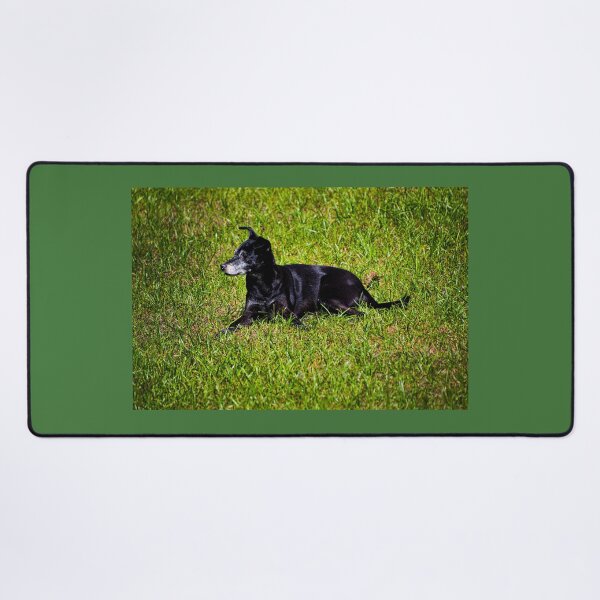 Item preview, Negrita Is A Loner designed and sold by alabca.