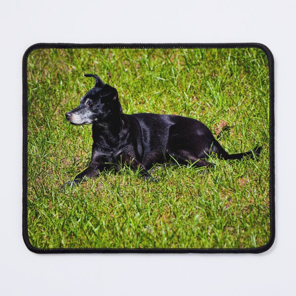 Item preview, Negrita Is A Loner designed and sold by alabca.