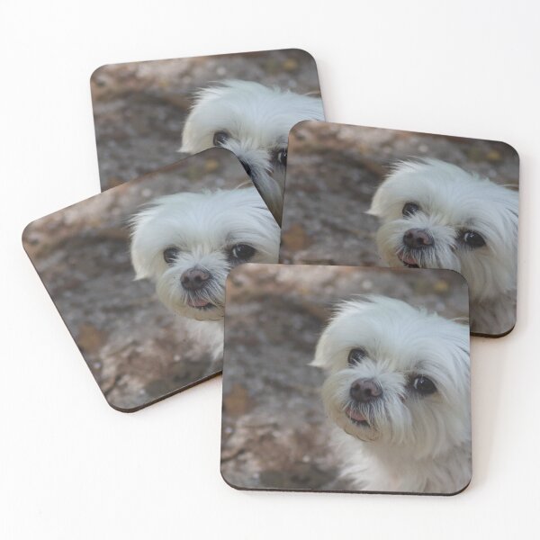 Item preview,  Maltese on a walk designed and sold by MvMeer.