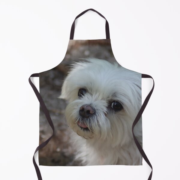 Item preview, Maltese on a walk designed and sold by MvMeer.