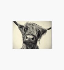 Highland Cow Art Board