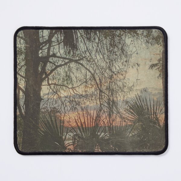 Item preview, Sunset Palms - Vintage Florida  designed and sold by OddVintage.