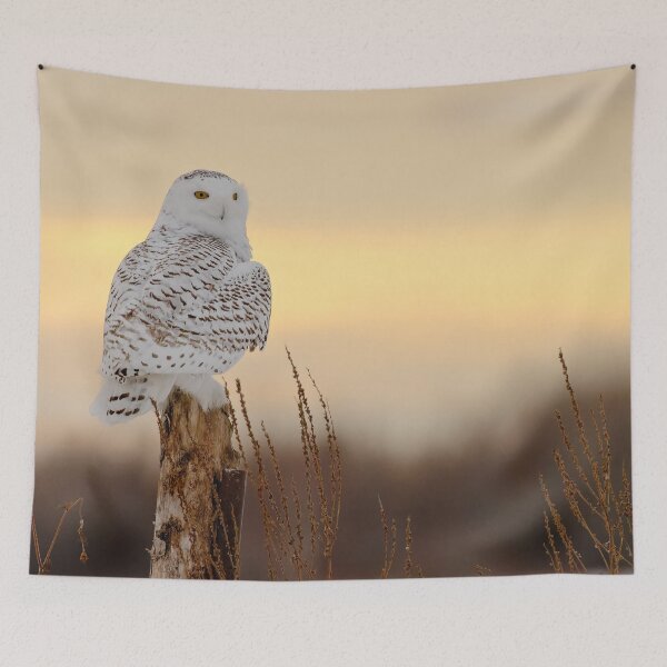 Item preview, Sunset Snowy 2 designed and sold by Owl-Images.