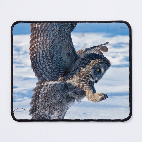 Item preview, Great Grey Owl designed and sold by Owl-Images.