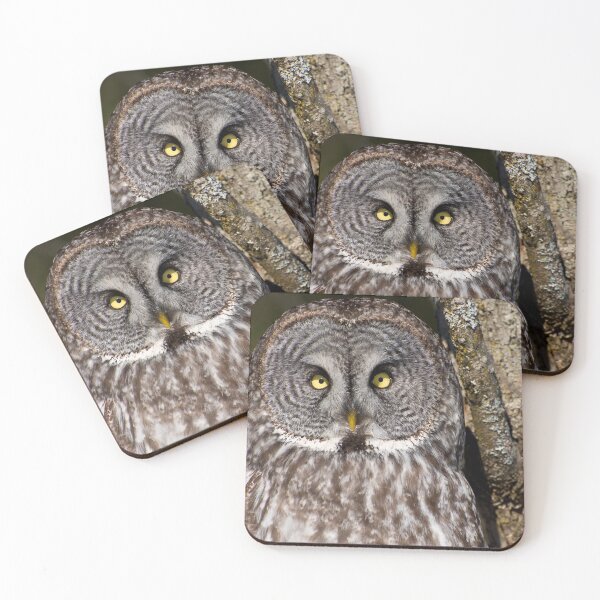 Item preview, Great Grey Owl designed and sold by Owl-Images.