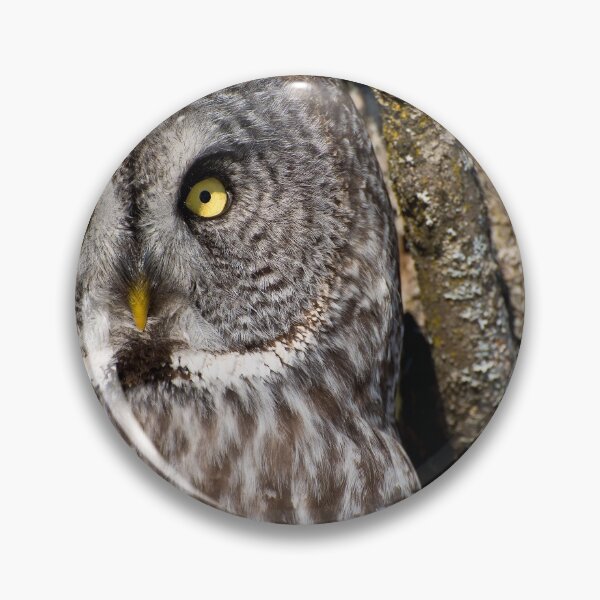 Item preview, Great Grey Owl designed and sold by Owl-Images.
