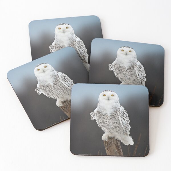 Item preview, Snowy Owl designed and sold by Owl-Images.