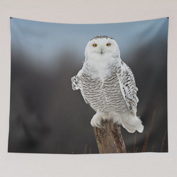 Item preview, Snowy Owl designed and sold by Owl-Images.
