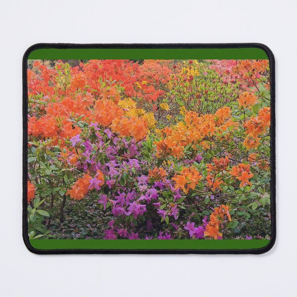 Item preview, Colourful Spring flowers designed and sold by Jenny Setchell.