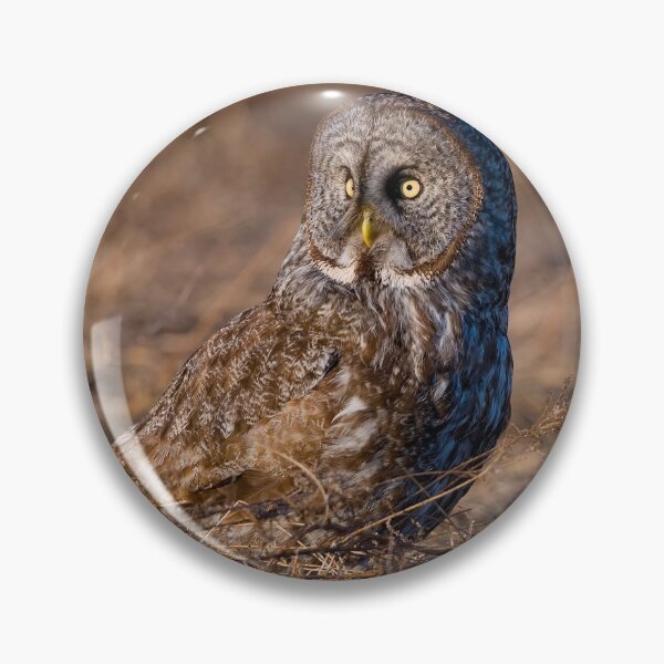 Item preview, Great Grey Owl designed and sold by Owl-Images.