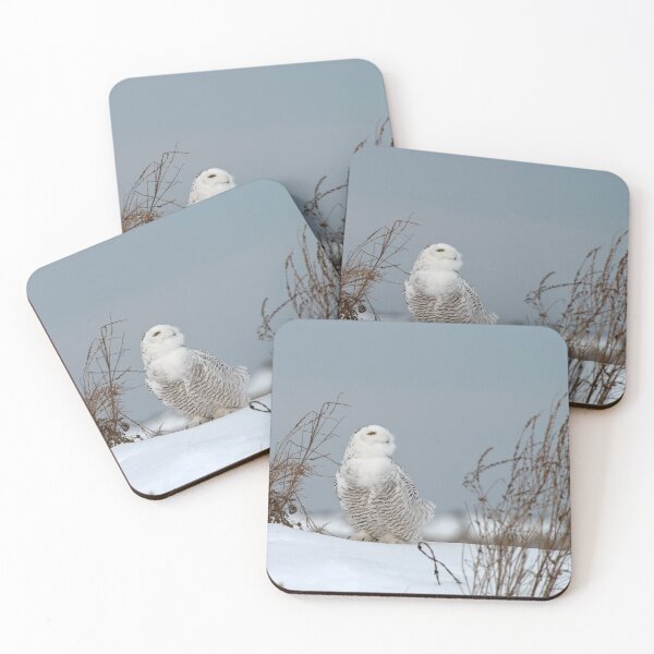 Item preview, Snowy Owl designed and sold by Owl-Images.