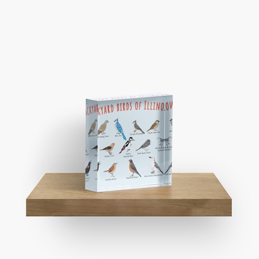 Item preview, Acrylic Block designed and sold by AndyMcBird.
