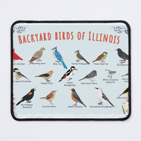 Item preview, Backyard birds of Illinois designed and sold by AndyMcBird.