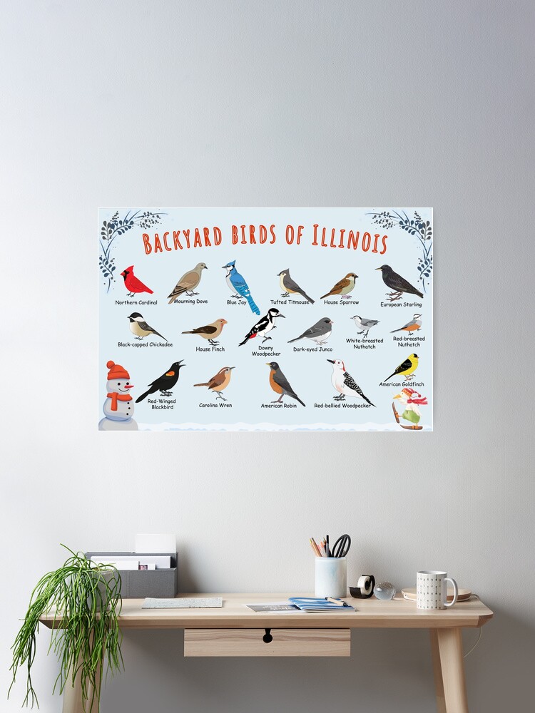 Thumbnail 2 of 3, Poster, Backyard birds of Illinois designed and sold by AndyMcBird.