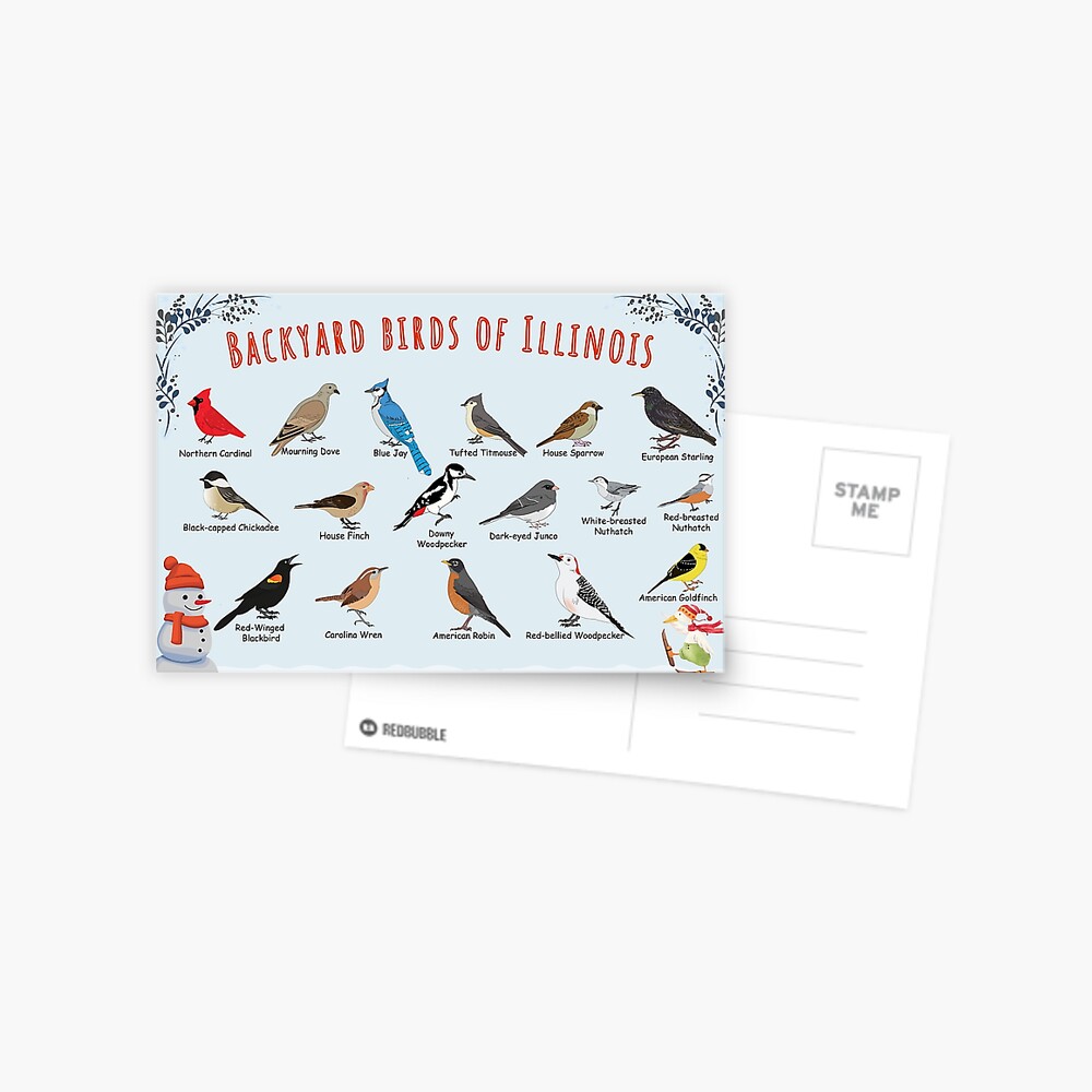 Item preview, Postcard designed and sold by AndyMcBird.