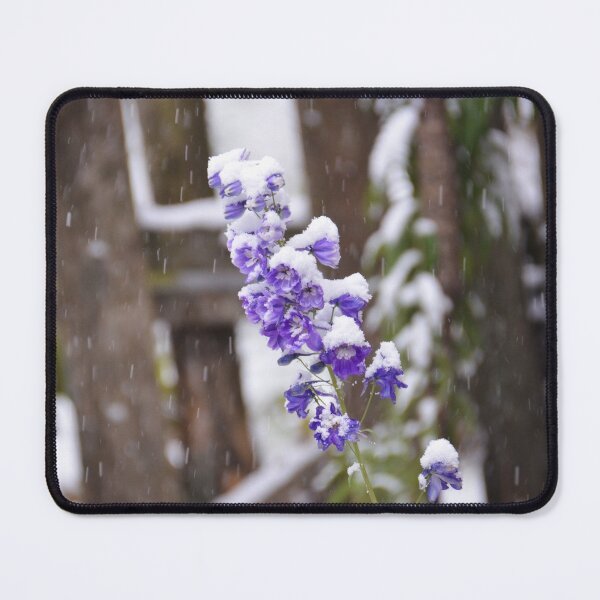 Item preview, Lonely Delphinium designed and sold by denis-romanov.