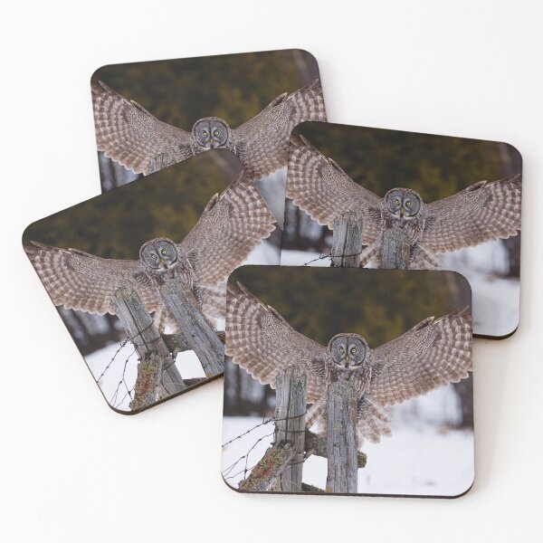 Item preview, Great Grey Owl designed and sold by Owl-Images.