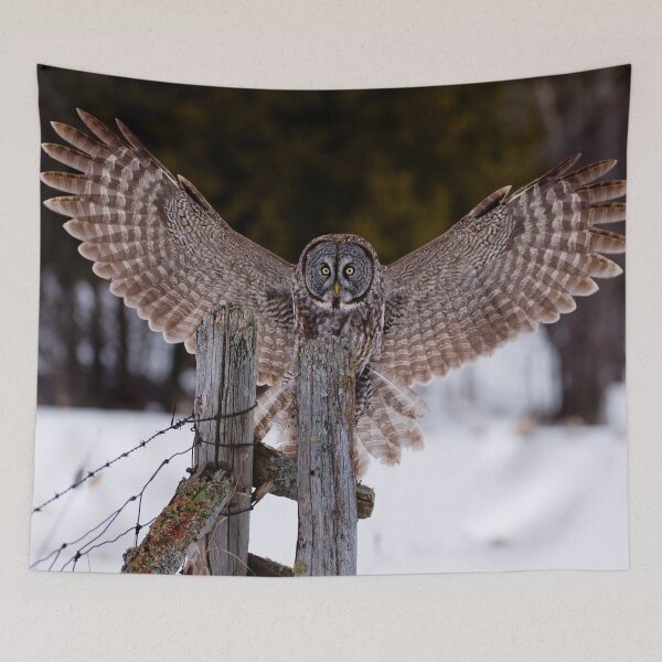 Item preview, Great Grey Owl designed and sold by Owl-Images.