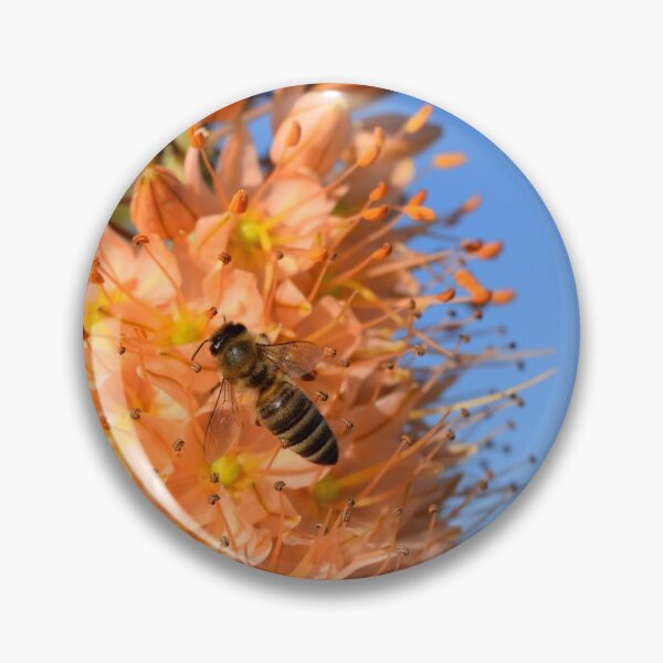 Item preview, Wasp, nature designed and sold by zero-g.