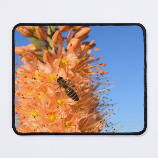 Item preview, Wasp, nature designed and sold by zero-g.