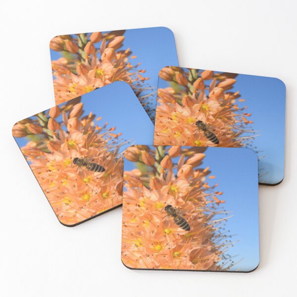 Item preview, Wasp, nature designed and sold by zero-g.