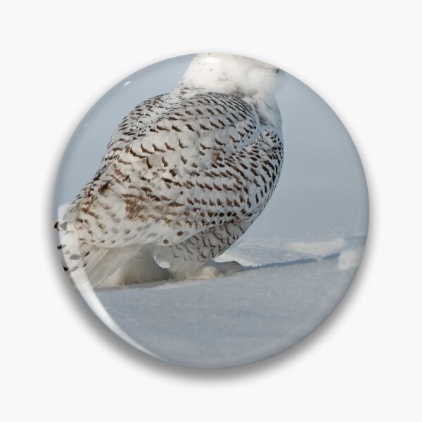 Item preview, Snowy Owl designed and sold by Owl-Images.