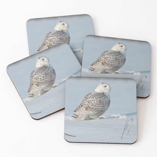 Item preview, Snowy Owl designed and sold by Owl-Images.