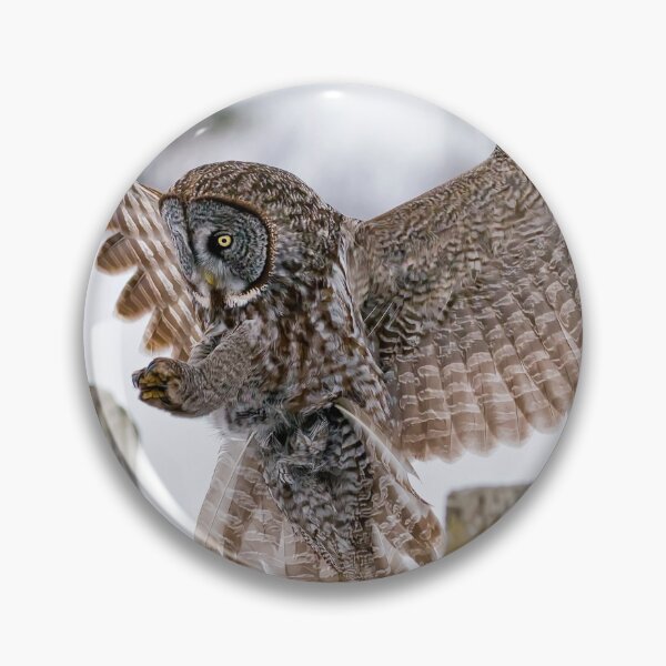 Item preview, Great Grey Owl designed and sold by Owl-Images.