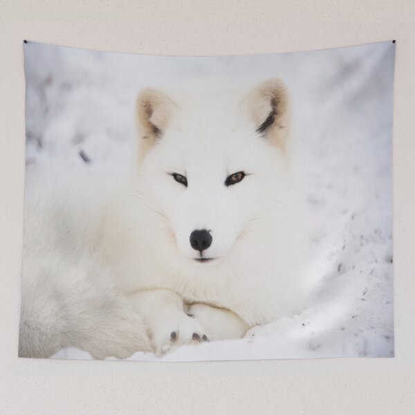Item preview, White arctic fox in snow designed and sold by GryThunes.