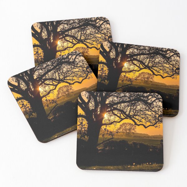 Item preview, #300 Trees In Silhouette as the Sunsets Along The River Soar at Kegworth Village designed and sold by phutball.