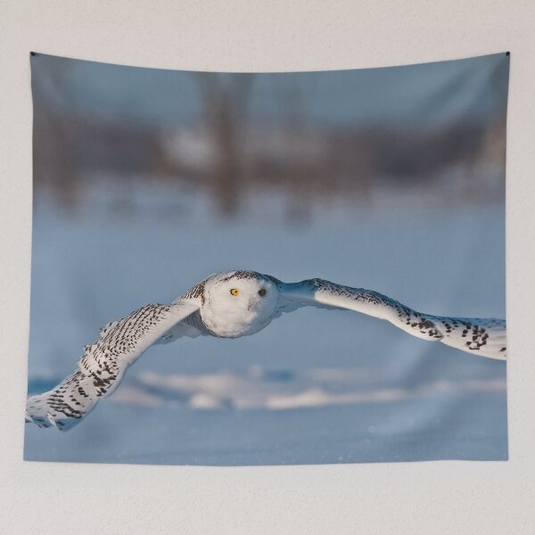 Item preview, Snowy Owl designed and sold by Owl-Images.