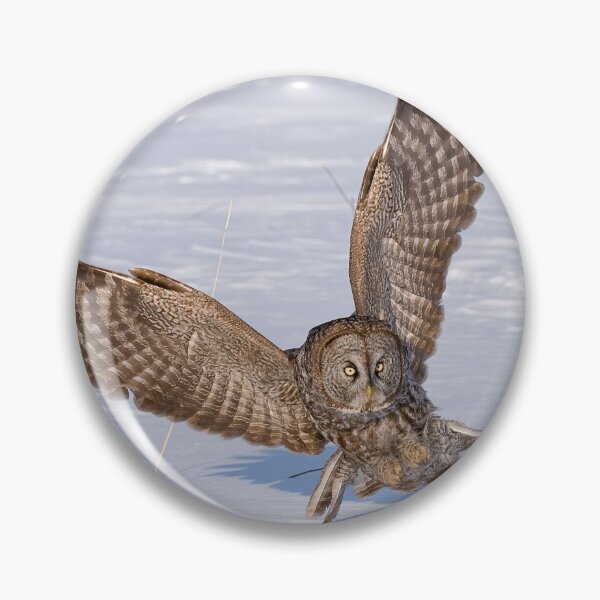 Item preview, Great Grey Owl designed and sold by Owl-Images.