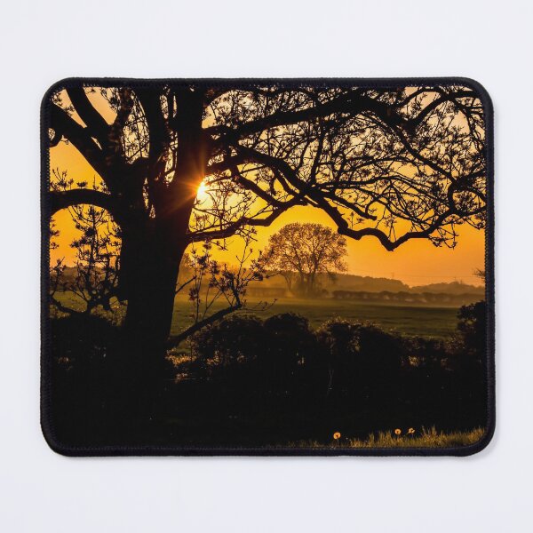 Item preview, #300 Trees In Silhouette as the Sunsets Along The River Soar at Kegworth Village designed and sold by phutball.