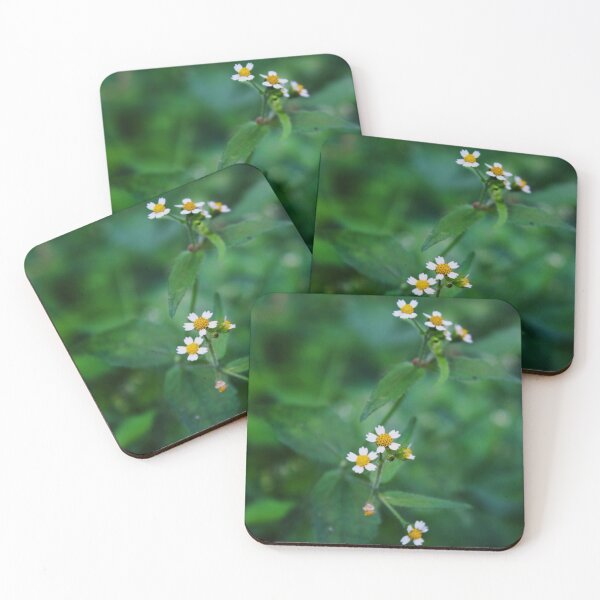 Item preview, Cute wild daisies designed and sold by chiaravisuals.