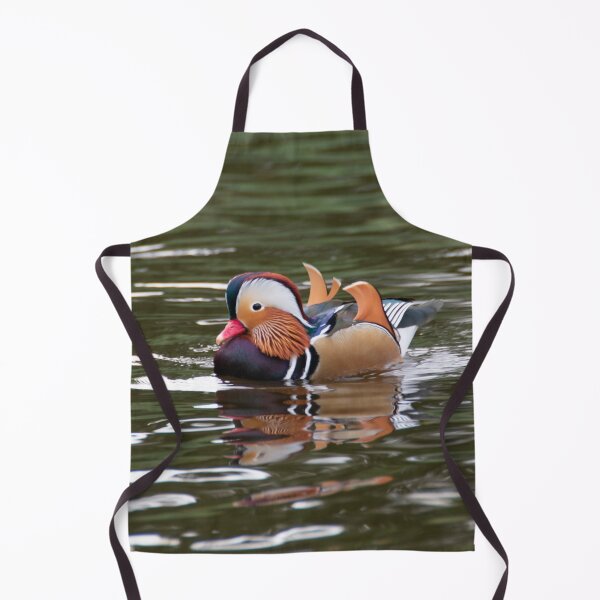 Item preview, Mandarin duck designed and sold by koalas1414.
