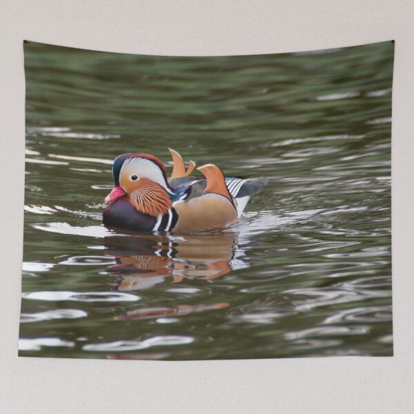 Item preview, Mandarin duck designed and sold by koalas1414.