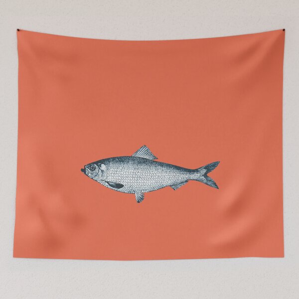 Item preview, Trout from a book on Freshwater Fish of Canada. Pub. 1897 designed and sold by IXXIN.