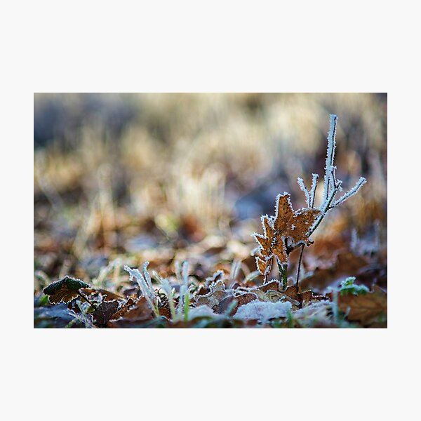 Item preview, Wintertime designed and sold by Tamas KLAUSZ.