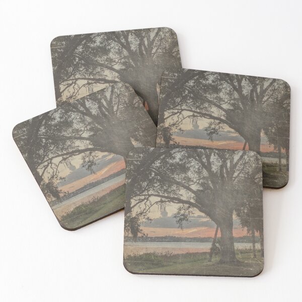 Item preview, Mossy Tree with Sunset over Water - Vintage Florida  designed and sold by OddVintage.