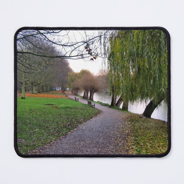 Item preview, Willows and benches designed and sold by ronsaunders47.