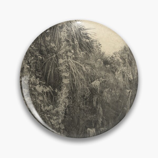 Item preview, Palm Forest with Vines - Vintage Florida  designed and sold by OddVintage.