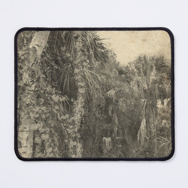 Item preview, Palm Forest with Vines - Vintage Florida  designed and sold by OddVintage.
