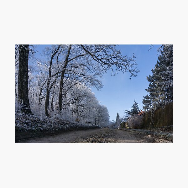 Item preview, Wintertime designed and sold by Tamas KLAUSZ.