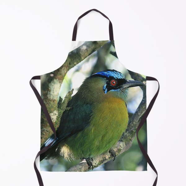 Item preview, Costa Rican Treasure: Mot Mot Bird Art Photo designed and sold by DEC02.