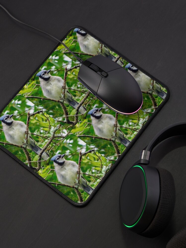 Alternate view of The Blue Jay By Yannis Lobaina Mouse Pad
