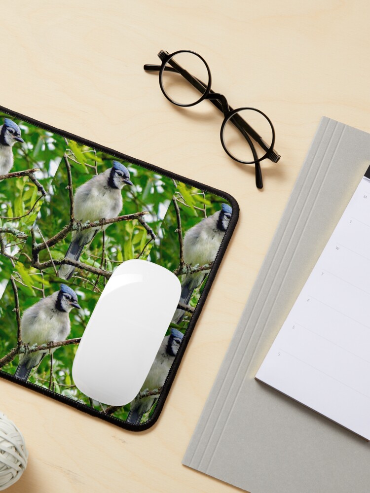 Alternate view of The Blue Jay By Yannis Lobaina Mouse Pad