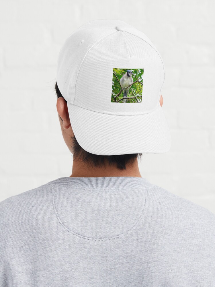 Alternate view of The Blue Jay By Yannis Lobaina Cap
